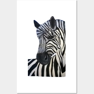 Young Zebra says, Hi! Posters and Art